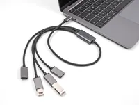 DeLOCK 4 Port USB 2.0 Cable Hub with USB Type-C connector 60 cm
