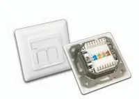 Wirewin DD-TRIO-C6 UP2 WS socket-outlet White