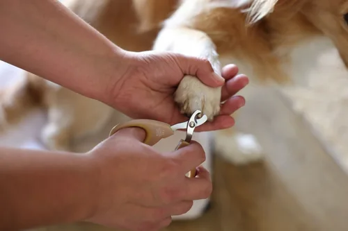 Kerbl Krallenschere MagicBrush - Produkttyp: Krallenpflege - Tierart: Hund