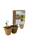 Windhager 06857 planter Indoor/outdoor Pot planter Freestanding Brown