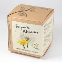 Naturkraftwerke Riesenpusteblume Flower seeds Annual / Perennial