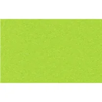 URSUS Tonzeichenpapier A4 2174652 130g, tropicgrün 100 Blatt