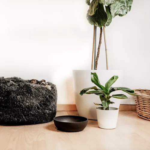 District 70 Bambusnapf Bamboo ø 14 cm - Material: Bambus - Silikon - Tierart: Hund - Produkttyp: Futternapf