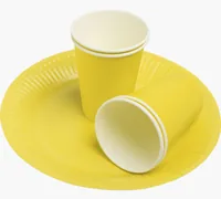 PRONAPPE 79219I disposable dish Plate
