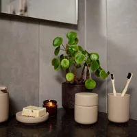Zone Denmark 37337 toothbrush holder Brown Freestanding toothbrush holder