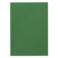 Artoz Schreibpapier 1001 A4 100 g/m² Tannengrün, 5 Blatt - Papierformat: A4 - Motiv: Ohne Motiv - Papierfarbe: Tannengrün - Papiertyp: Schreibpapier - Mediengewicht: 100 g/m² - Verpackungseinheit: 5 Stück