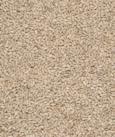 Versele Laga Vogelfutter MN Sunflower hearts 750 g - Packungsgrösse: 0.75 kg - Saison: Winterfutter - Tierart: Vogel - Produkttyp: Streufutter