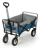 EASYmaxx Bollerwagen 100 x 50 x 61 cm - Detailfarbe: Grau