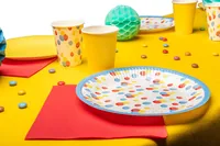 PRO nappe Einwegteller Geburtstag 10 Stück, Mehrfarbig - Produkttyp: Einwegteller - Materialtyp: Papier - Material: Karton - Detailfarbe: Mehrfarbig - Verpackungseinheit: 10 Stück