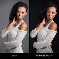 Westcott 860 softbox
