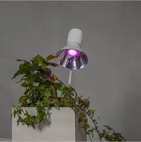 Star Trading LED Leuchtmittel G9 Halo-LED 138 lm, 2700K, 1.5W, 220-240V - Energieeffizienzklasse: F - Lampensockel: G9 - Protokoll: Ohne - Smart Home: Nicht kompatibel - Farbtemperatur Kelvin: 2700 K - Gesamtleistung: 1.5 W