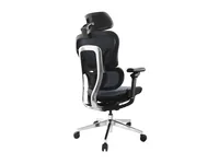 Equip Ergonomic Premium Office Chair with Headrest and Armrests, Blue Black