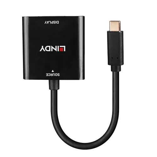 LINDY Konverter USB Typ C auf DisplayPort 4K144
