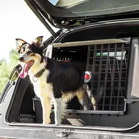 Ferplast Atlas Car Scenic Car pet carrier