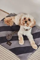 OYOY Hunde-Decke Kaya, M, Schwarz - Breite: 120 cm - Länge: 160 cm - Detailfarbe: Schwarz - Tierart: Hund - Produkttyp: Decke