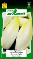 Samen Mauser 10625004 vegetable seed Chicory