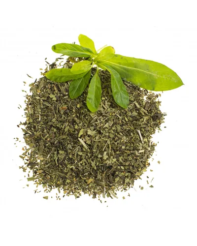 GLOREX Ribwort herb 4g cut