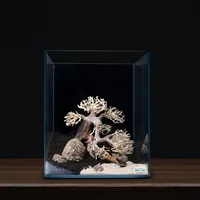 Dennerle Dekoration Bonsai Box - Einrichtung: Wurzeln & Gestein - Material: Holz