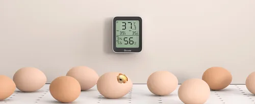 Govee Wetterstation Govee Bluetooth Thermometer – Hygrometer - Funktionen: Innentemperatur - App Unterstützung - Raumluftqualität - Set: Nein - Typ: Thermo-/Hygrometer