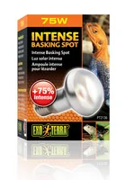 Exo Terra Terrarienlampe Intense Basking Spot E27, R20/75W - Lampensockel: E27 - Lichtfarbe: Warmweiss (WW) - Gesamtleistung: 75 W - Lampentyp: UV-Lampe - Wärmelampe - Benötigt Vorschaltgerät: Nein - UV-Strahlung: UVA