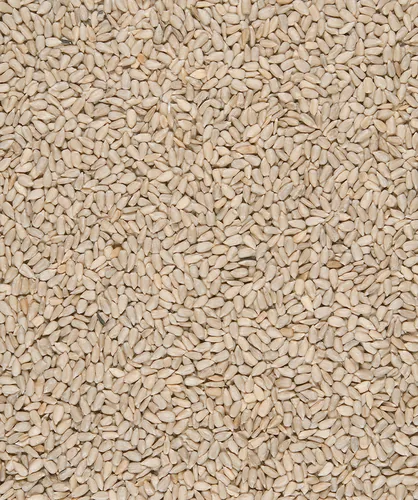 Versele Laga Vogelfutter MN Sunflower hearts 750 g - Packungsgrösse: 0.75 kg - Saison: Winterfutter - Tierart: Vogel - Produkttyp: Streufutter