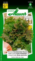 Samen Mauser Samen Pflücksalat Amerikanischer Brauner - Aussaatzeit: April - August - Juli - Juni - Mai - März - Sonneneinstrahlung: Sonnig - halbschattig - Saattyp: Saatgut - Gemüsegruppen: Salat - Erntezeit: April - August - Juli - Juni - Mai - Oktober 