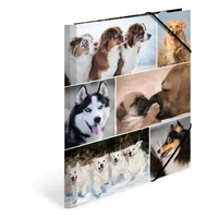 HERMA Gummibandmappe A4 Hunde, Karton, mit Innendruck - Typ: Gummibandmappe - Ausstattung: Innendruck - Gummiband - Detailfarbe: Hellbraun - Material: Karton