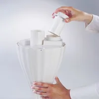Solis Antikalk-Kartusche Vapo-Flûte 1 Stück - Kompatibilität: Solis Ultrasonic Vapo-Flûte - Verpackungseinheit: 1 Stück