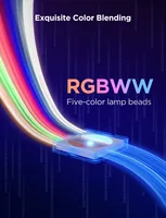 Govee LED Strip 2 Pro 5 m - Lampensockel: LED - Farbtemperatur Kelvin: 2700 bis 6500 K - Aussenanwendung: Nein - Gesamtleistung: 72 W - Leuchten Kategorie: LED Stripe - Lichtfarbe: RGBW - farbig + weiss - RGBIC - farbig (IC-Chip)
