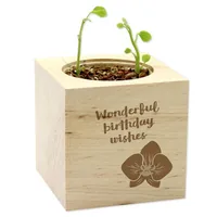 Feel Green 292581 flower seeds/bulbs