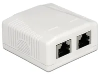 DeLOCK 86197 socket-outlet 2 x RJ-45 White
