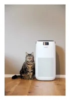 Ecofort ecoQ CleanAir 400+ 80 m² 60 dB 44.5 W White