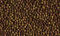 Tetra Basisfutter TabiMin, 2050 Tabs - Fischart: Bodenfische - Futterart: Tabs - Verwendung: Süsswasser - Packungsgrösse: 620 g - Produkttyp: Alleinfutter