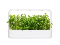 Click and Grow Samen Apfel-Minze, 3er-Pack - Bio: Nein - Aussaatzeit: Ganzjährig - Sonneneinstrahlung: Hell und warm - Gemüsegruppen: Kräuter - Saattyp: Saatgut - Erntezeit: Ganzjährig