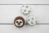 Zenker Muffin Backform Faultier 50 Stück - Materialtyp: Papier - Material: Papier - Zertifikate: Keine Zertifizierung - Backform Typ: Muffin-Backform - Motiv: Ohne Motiv - Eigenschaften: Keine Eigenschaft