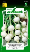 Samen Mauser Samen Zwiebel Barletta (Perlzwiebel) - Aussaatzeit: April - Mai - März - Sonneneinstrahlung: Sonnig - halbschattig - Saattyp: Saatgut - Gemüsegruppen: Zwiebel- und Lauchgemüse - Erntezeit: August - Juli - Bio Zertifizierung: Ohne Bio-Zertifiz