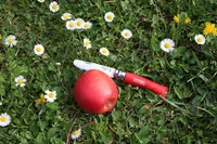 opinel Kindermesser N°07 Mon Premier Rot - Typ: Klappmesser - Schalenmaterial: Holz - Funktionen: Keine - Einhandklinge: Ja - Verriegelung: Arretierbare Klinge - Anzahl Funktionen: 1-10