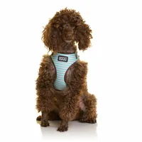 Doog Geschirr Neoflex Benji XS Braun / Blau - Hundegrösse: XS - Produkttyp: Geschirr - Tierart: Hund - Detailfarbe: Hellblau