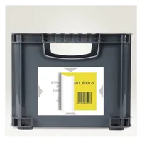 AVERY ZWECKFORM Träger-Etiketten 120x80mm 8001-5 hellgrau 20 Stk./5 Blatt