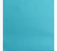 PRO nappe Papierservietten Türkis 38 cm x 38 cm, 40 Stück - Material: Papier - Grösse: 38 cm x 38 cm - Produkttyp: Papierservietten - Motiv: Ohne Motiv - Detailfarbe: Türkis - Anzahl Lagen: 2