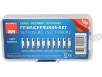 Max Hauri Schmelzsicherung Set 5 x 20 mm Träge, 100 Stück - Nennstrom: 0.5 A - 0.63 A - 4 A - 1.6 A - 2.5 A - 6.3 A - 2 A - 0.315 A - 1 A - 10 A - Typ: Feinsicherung - Bauart: Klar - Auslösecharakteristik: Träge (T)