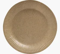 PRONAPPE 79109I disposable dish Plate