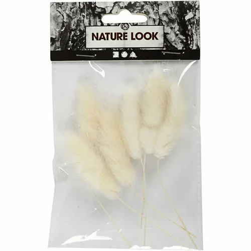 Creativ Company Trockenblumen Federgras 3-7 cm, 6 Stück - Produkttyp: Trockenblumen - Detailfarbe: Beige - Verpackungseinheit: 6 Stück
