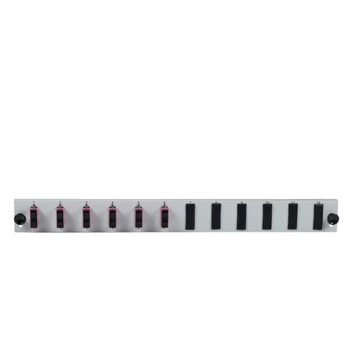 EFB Bestckte 12 Port Frontblende mit 6 x SC Duplex Kupplung OS2 vertikal, grau