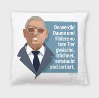 Swissmeme Kissenbezug Fischer Bettwaren 45 x 45 cm - Anlass: Fun - Geburtstag - Empfänger Geschenke: Für Frauen - Für Männer - Produkttyp Geschenke: Kissenbezug