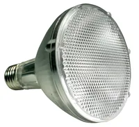Lucky Reptile Terrarienlampe Bright Sun UV Desert 70 W - Lampensockel: E27 - Lichtfarbe: Tageslichtweiss (Kaltweiss) - Gesamtleistung: 70 W - Lampentyp: UV-Lampe - Benötigt Vorschaltgerät: Nein - UV-Strahlung: UVA - UVB