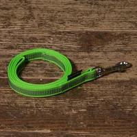 dogsmart Schleppleine gummiert 6 m / 20 mm mit Handschlaufe - Produkttyp: Schleppleine - Tierart: Hund - Detailfarbe: Hellgrün - Länge: 6 m