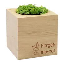 Feel Green 299429 flower seeds/bulbs