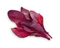 Click and Grow Samen Roter Mangold - Bio: Nein - Sonneneinstrahlung: Hell und warm - Aussaatzeit: April - November - März - Mai - Juli - Dezember - Februar - Oktober - Juni - September - August - Januar - Gemüsegruppen: Blatt- und Stängelgemüse - Saattyp: