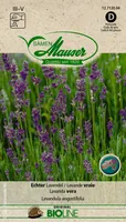 Samen Mauser 12712004 flower seeds/bulbs
